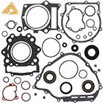 VERTEX GASKET SET & OIL SEALS