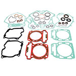 Vertex Complete Gasket Kit With Oil Seal