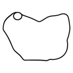 VERTEX IGNITION COVER GASKET