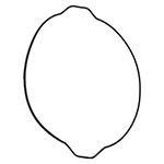 Vertex Outer Clutch Cover Gasket