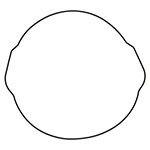 Vertex Outer Clutch Cover Gasket