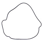 Vertex Outer Clutch Cover Gasket