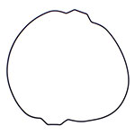 Vertex Outer Clutch Cover Gasket