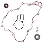 VERTEX WATER PUMP REBUILD KIT