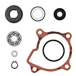 VERTEX WATER PUMP REBUILD KIT