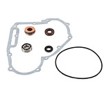 VERTEX WATER PUMP REBUILD KIT