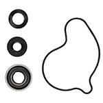 VERTEX WATER PUMP REBUILD KIT