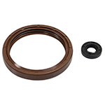 Vertex Engine Oil Seal Kit