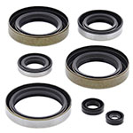 VERTEX ENGINE OIL SEAL KIT
