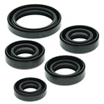 VERTEX ENGINE OIL SEAL KIT