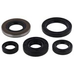 Vertex Engine Oil Seal Kit