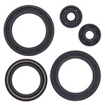 VERTEX ENGINE OIL SEAL KIT