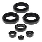 Vertex Engine Oil Seal Kit