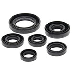 VERTEX ENGINE OIL SEAL KIT