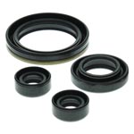 Vertex Engine Oil Seal Kit