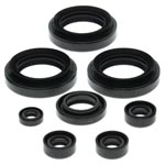 Vertex Engine Oil Seal Kit