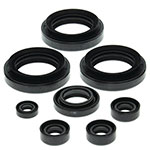 VERTEX ENGINE OIL SEAL KIT