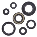 Vertex Engine Oil Seal Kit