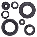 VERTEX ENGINE OIL SEAL KIT