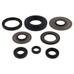 Vertex Engine Oil Seal Kit