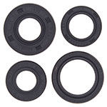 VERTEX ENGINE OIL SEAL KIT