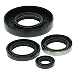 Vertex Engine Oil Seal Kit