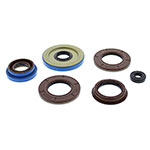 Vertex Engine Oil Seal Kit