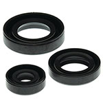 VERTEX ENGINE OIL SEAL KIT