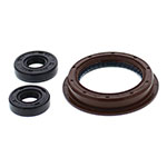 Vertex Engine Oil Seal Kit