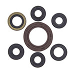 Vertex Engine Oil Seal Kit