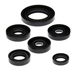 Vertex Engine Oil Seal Kit