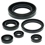 VERTEX ENGINE OIL SEAL KIT