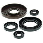 VERTEX ENGINE OIL SEAL KIT