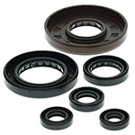 VERTEX ENGINE OIL SEAL KIT