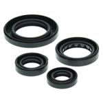 Vertex Engine Oil Seal Kit