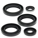 Vertex Engine Oil Seal Kit