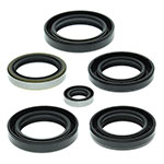 Vertex Engine Oil Seal Kit