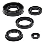 Vertex Engine Oil Seal Kit