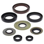 Vertex Engine Oil Seal Kit