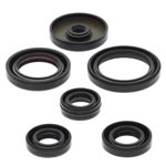 Vertex Engine Oil Seal Kit