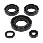 Vertex Engine Oil Seal Kit