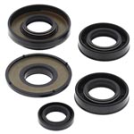 Vertex Engine Oil Seal Kit