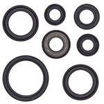 Vertex Engine Oil Seal Kit