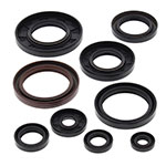 Vertex Engine Oil Seal Kit