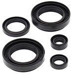Vertex Engine Oil Seal Kit