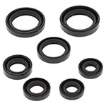 Vertex Engine Oil Seal Kit