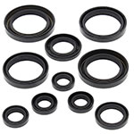 Vertex Engine Oil Seal Kit