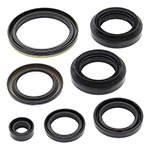 Vertex Engine Oil Seal Kit