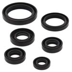 Vertex Engine Oil Seal Kit