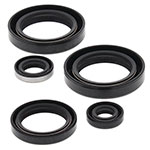 VERTEX ENGINE OIL SEAL KIT